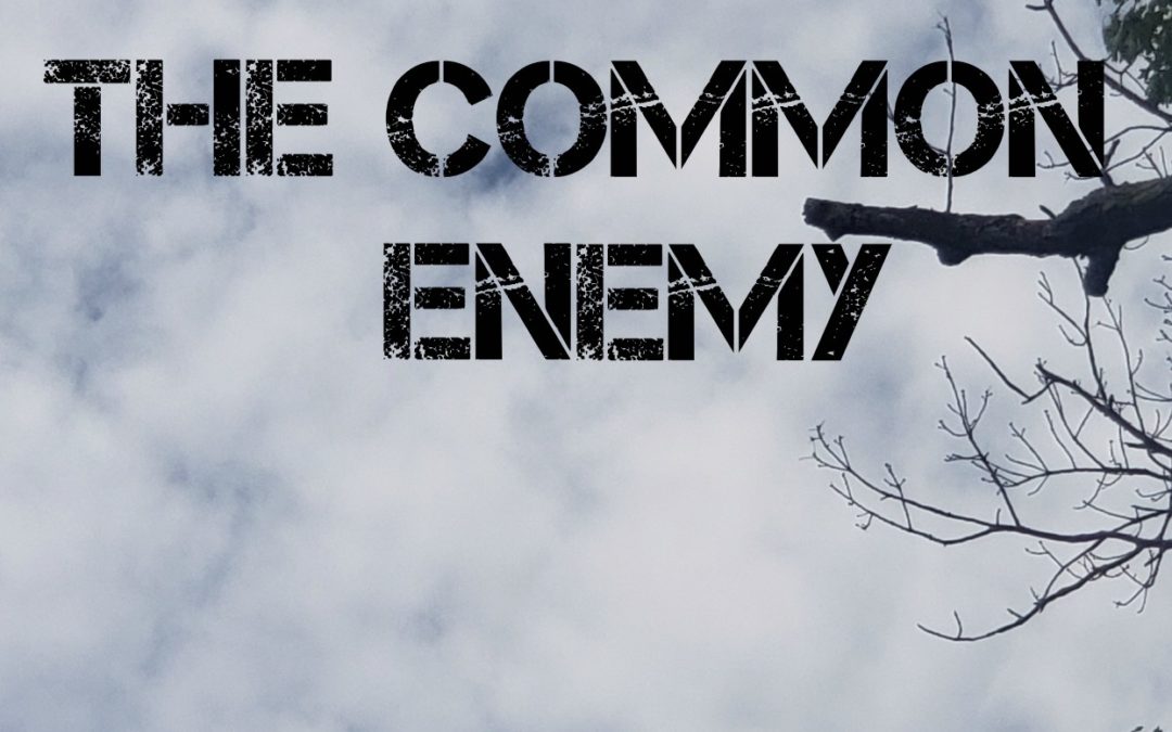 The Hawk- The Common Enemy