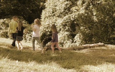Follow the Leader