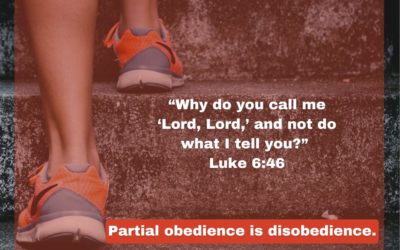 Partial Obedience