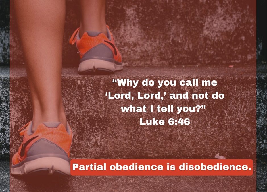 Partial Obedience