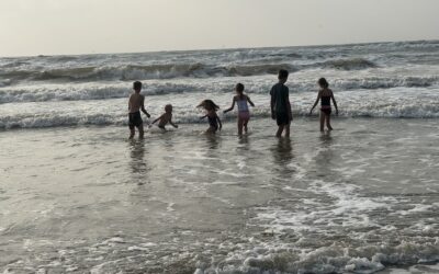 The Waves